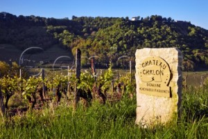 A typical stone marker showing the vineyards of Domaine Chevassu-Fassenet in the AOC vineyards of Château-Chalon ©Mick Rock/Cephas